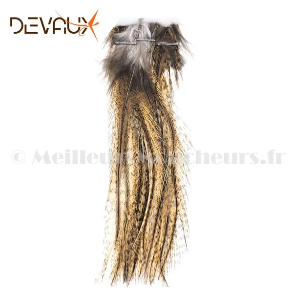 Pelles de Pardo Devaux