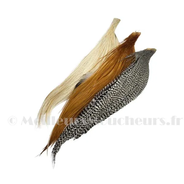 Demi cou coq génétique DEVAUX grade 2