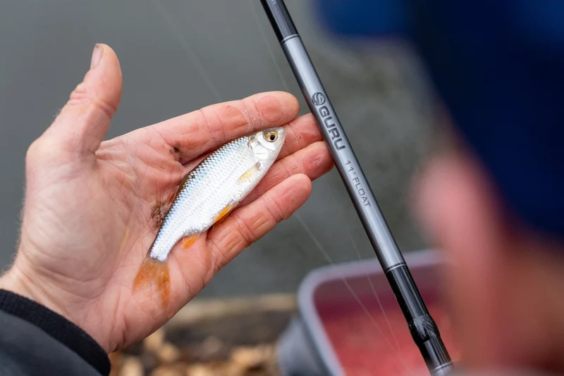 11' Natural Waggler Rod & Reel Combo – Wagglerhengel- en Molenset