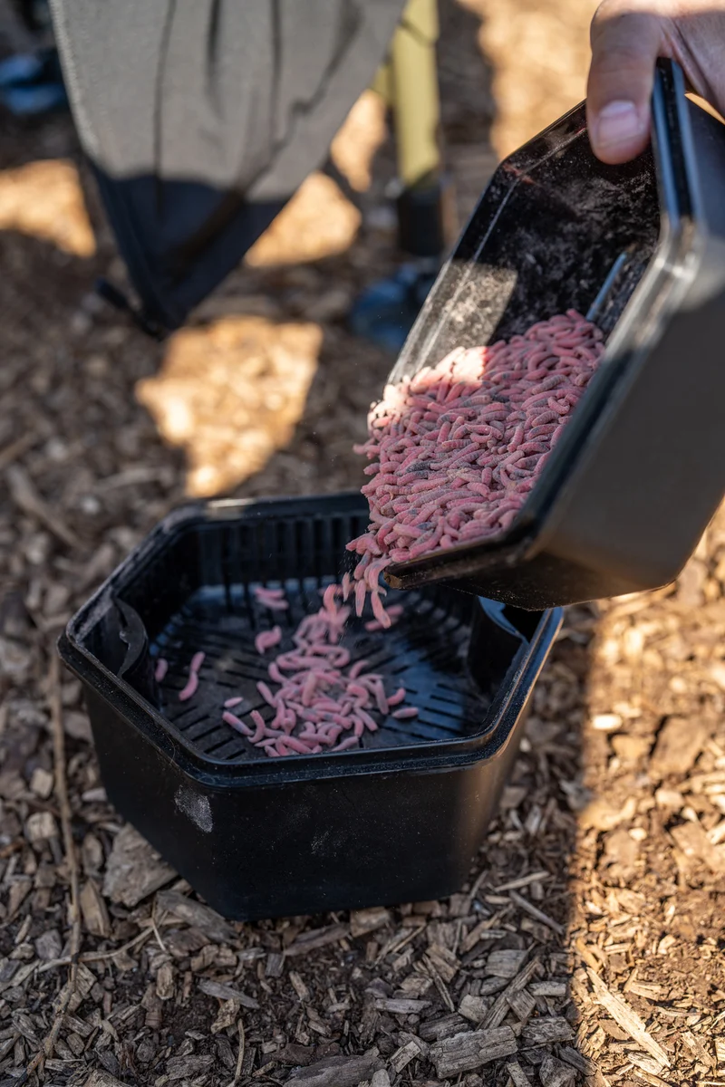 Secure-Lock Bait Box and Sieve 2L – Aasdoos met Uitneembare Aaszeef - 🎁