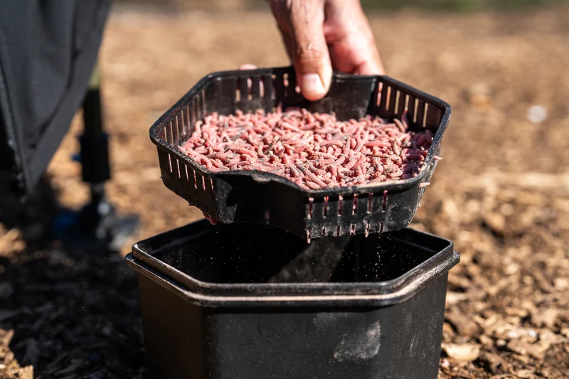 Secure-Lock Bait Box and Sieve 2L – Aasdoos met Uitneembare Aaszeef - 🎁
