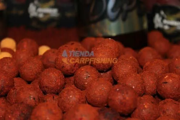 Bouillette Pro Elite Baits Gold Robin Red 20 mm