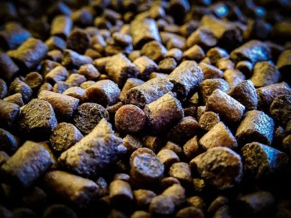 Pellets Spod Mix Pro Elite Baits Squid Octopus 8mm
