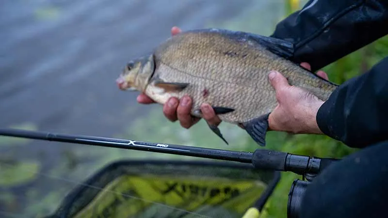 Horizon X Ultra Pro Distance Feeder Rod – Afstandsfeederhengel 🎁