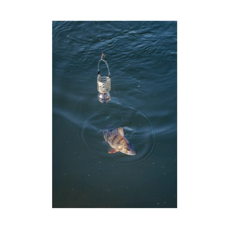 Slow Sinking Feeder – Langzaam Zinkende Voerkorf