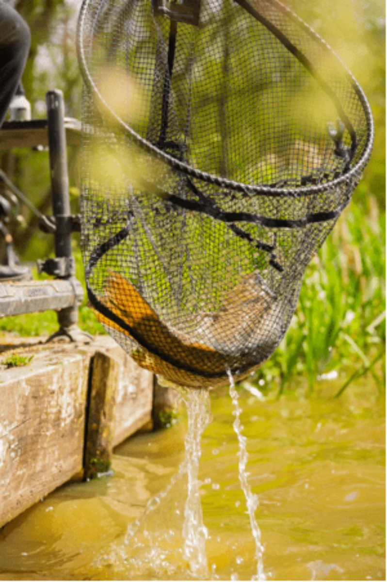 Carbon F1 Latex Landing Net – Schepnet 💰