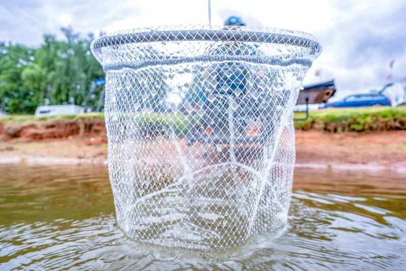Carbon Euro Match Landing Nets – Schepnet 💰