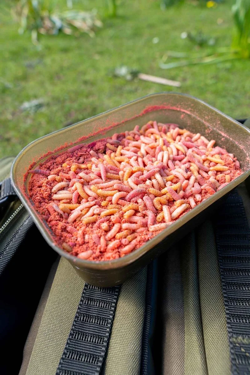Maggot Bait Tub – Madendoos (0,57 l / 1 pint)