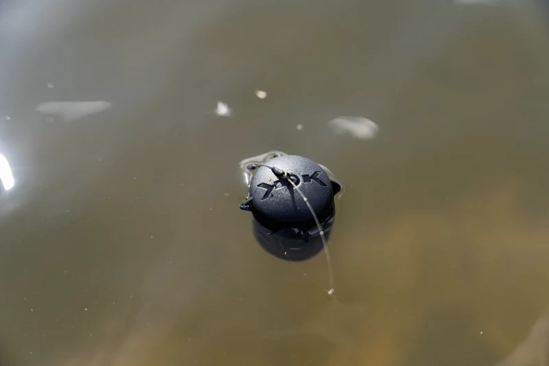 Floating Feeder – Drijvende Voerkorf 🎁