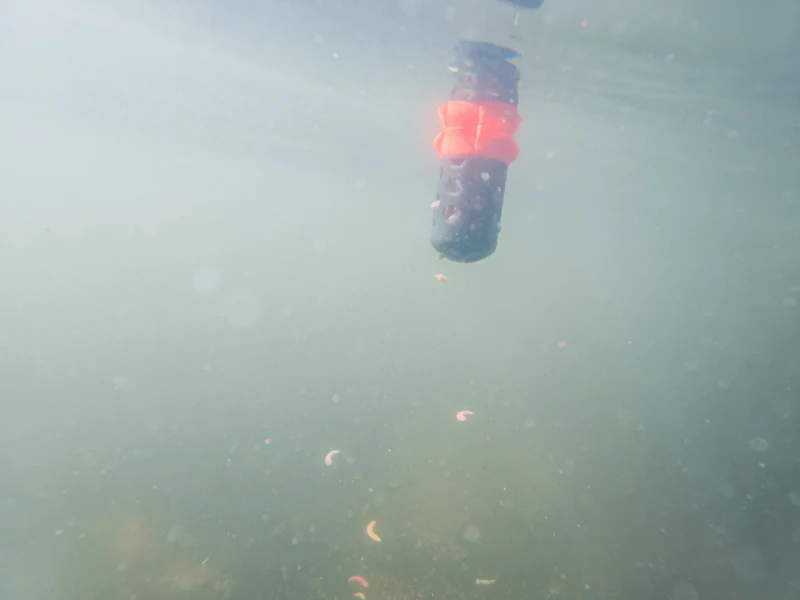 Floating Feeder – Drijvende Voerkorf 🎁