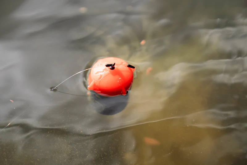 Floating Feeder – Drijvende Voerkorf 🎁
