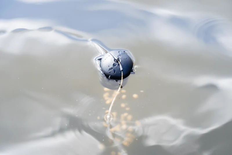 Floating Feeder – Drijvende Voerkorf 🎁