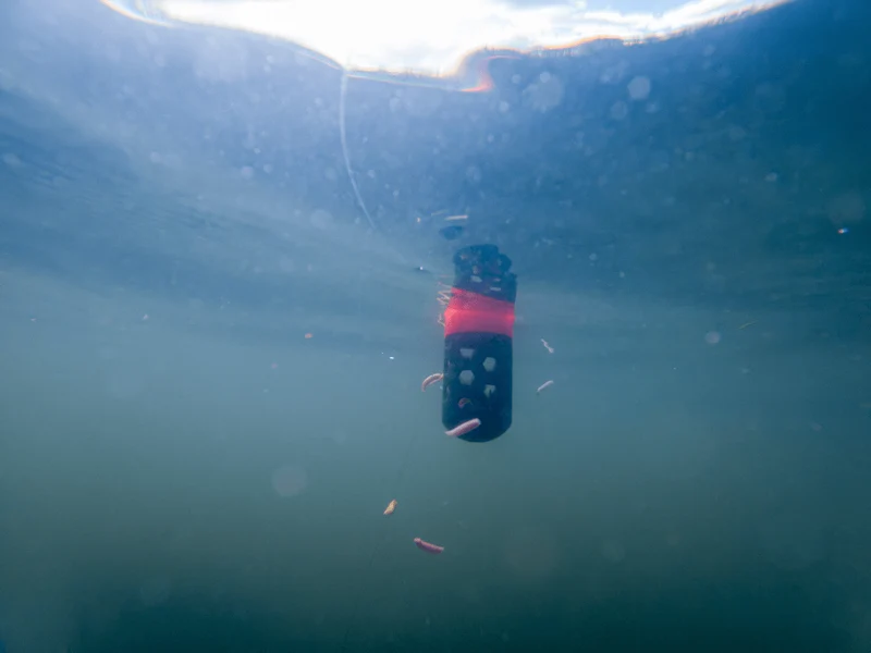 Floating Feeder – Drijvende Voerkorf 🎁