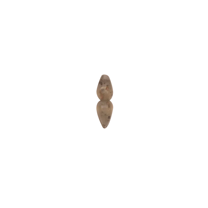 Arrêts Bait Stops Avid Carp Outline FleckTone