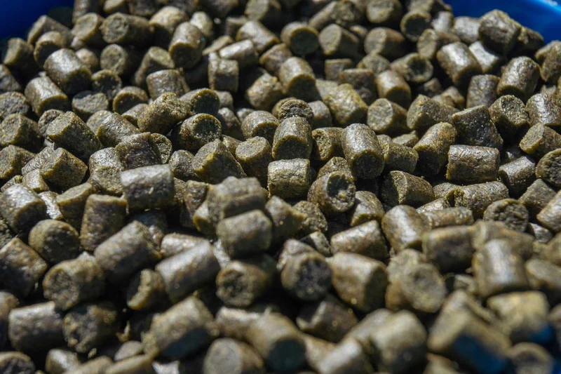 Marine Green Feed Pellets 900g – Groene Voerpellets