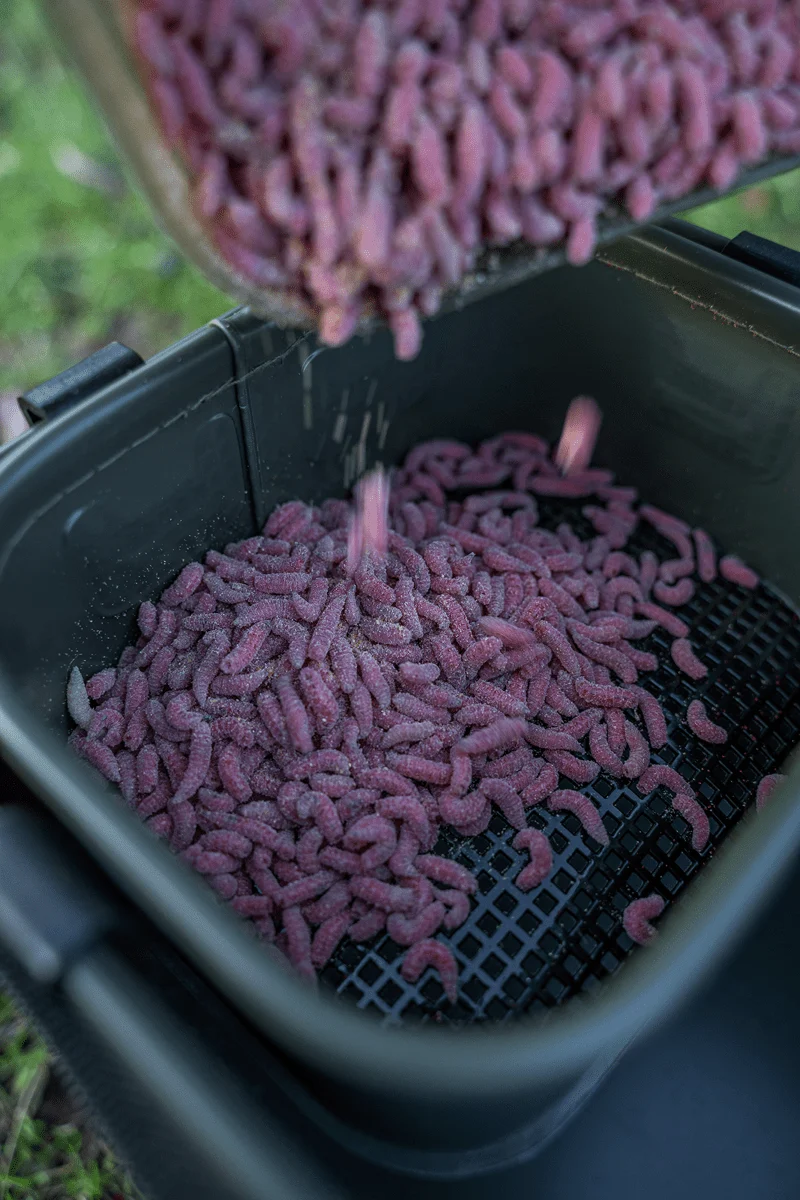 EVA Bait Station – Aastas met 2 Aasbakken