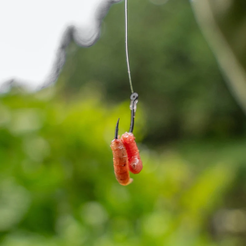 Xpert Maggot to Nylon 15cm Barbless – 15 cm Onderlijnen zonder Weerhaak - 🎁