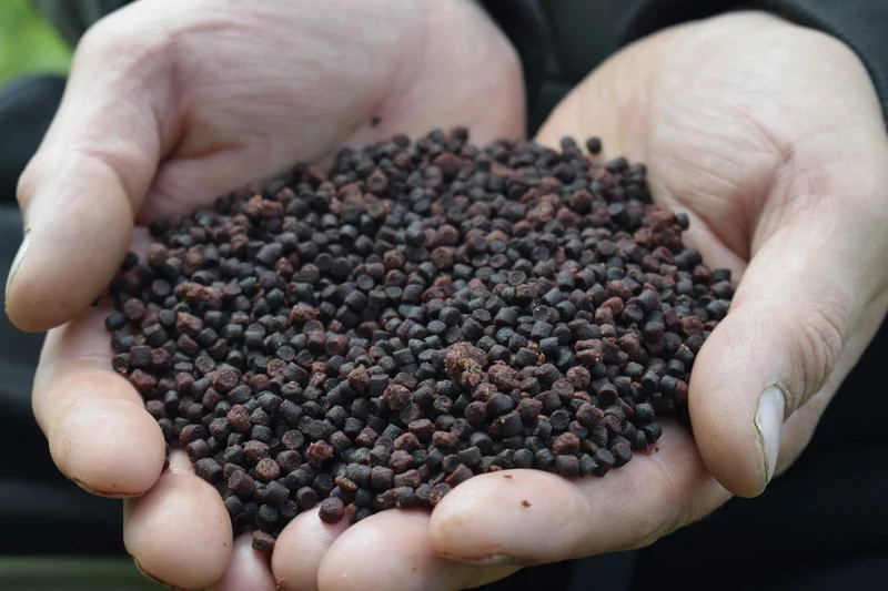 Spicy Sausage Halibut Pellets 900g – Halibutpellets met Pikante Worst-smaak