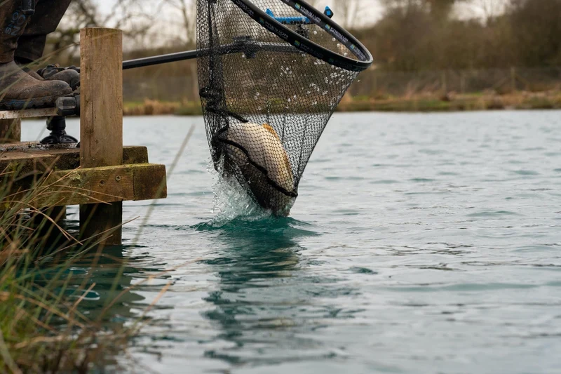 Carp XS Landing Nets Latex – Schepnet