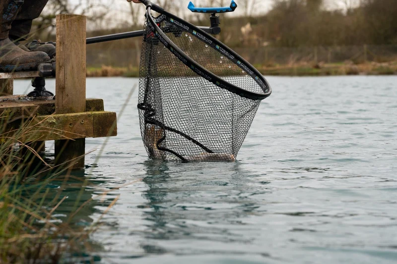 Carp XS Landing Nets Latex – Schepnet