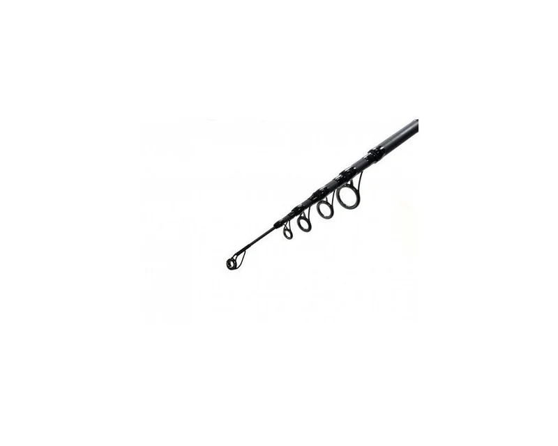 Canne Zfish Kingstone TelescoPique 12 pieds 3,5 livres