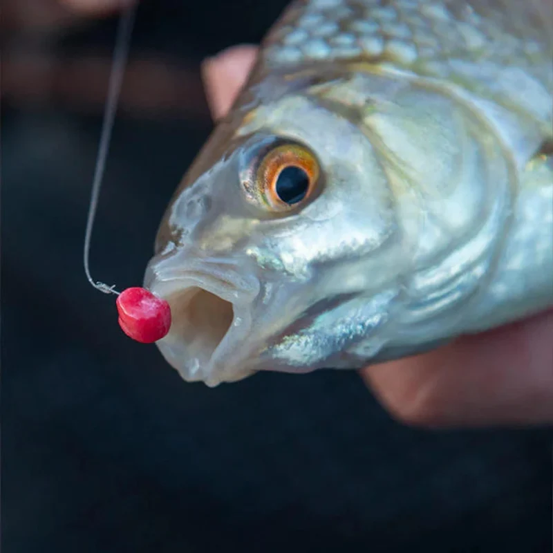 Original 2 in 1 Bait 5mm – Voer- en Haakpellets 💰