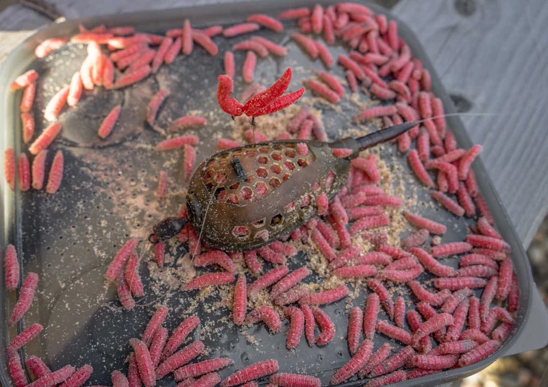 Camo Grub Feeders – Madenkorven