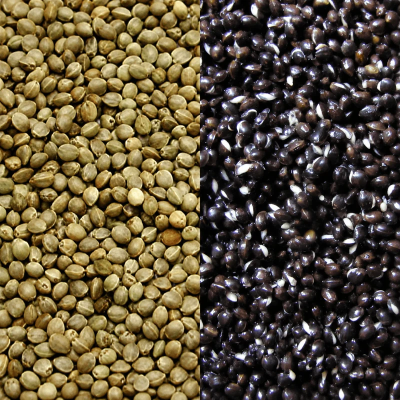 Monster Hempseed 1kg – Monster Hennepzaad
