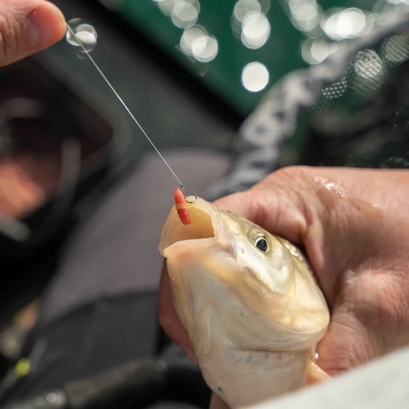 Super Soft Bait Bands – Pelletbandjes (100 Stuks)