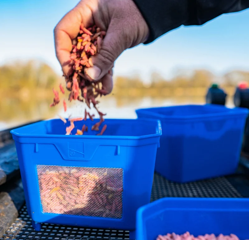 Bait Tubs – Aasdozen