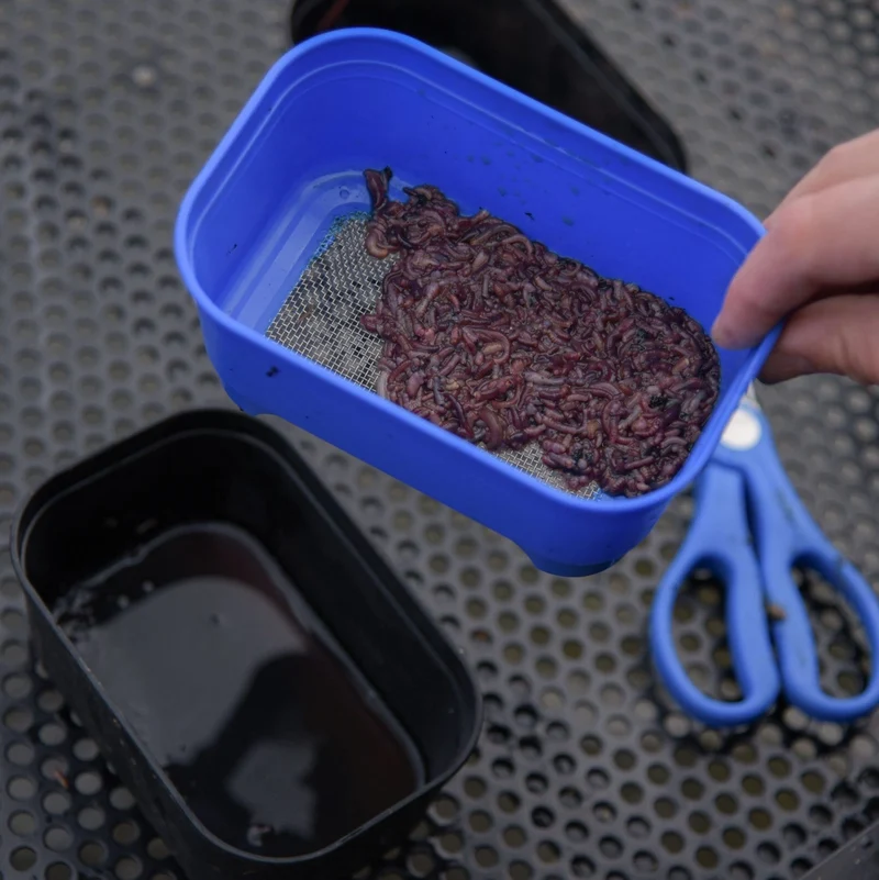 Baitstrainer – Aaszeef