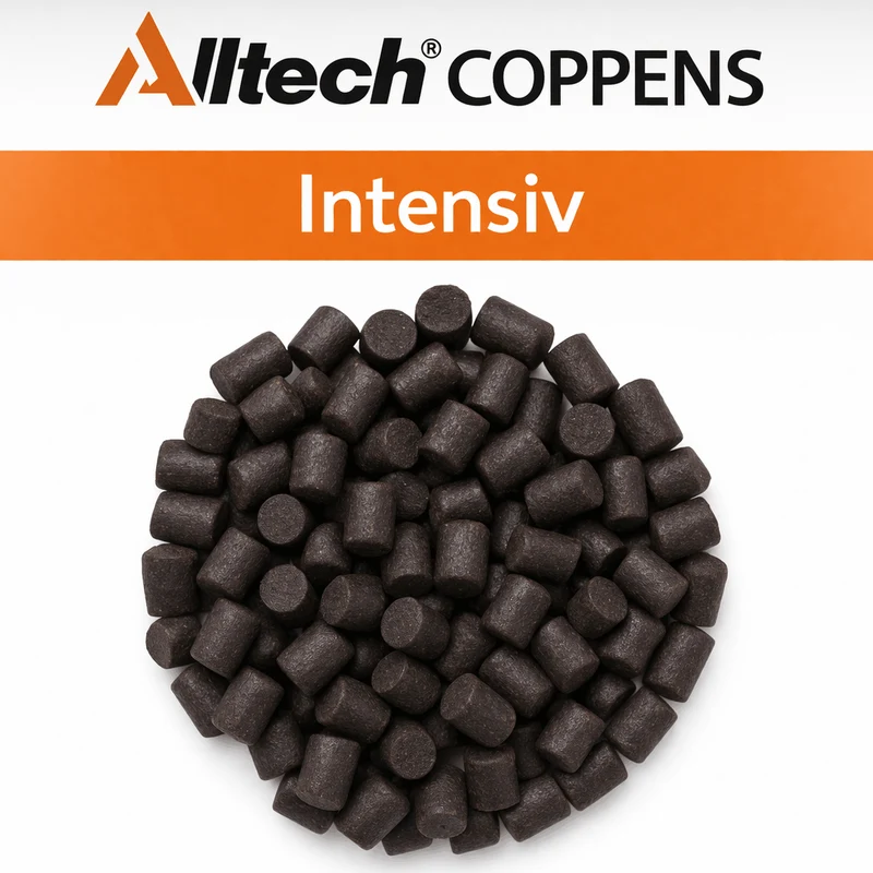 Intensiv – Zinkende Pellets