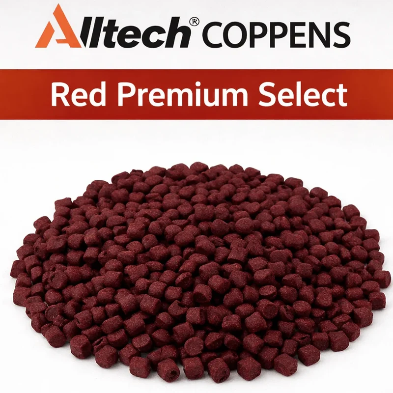 Red Premium Select (Halibut) – Rode Zinkende Halibutpellets