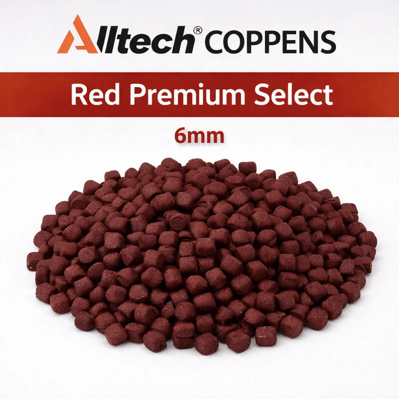 Red Premium Select (Halibut) – Rode Zinkende Halibutpellets