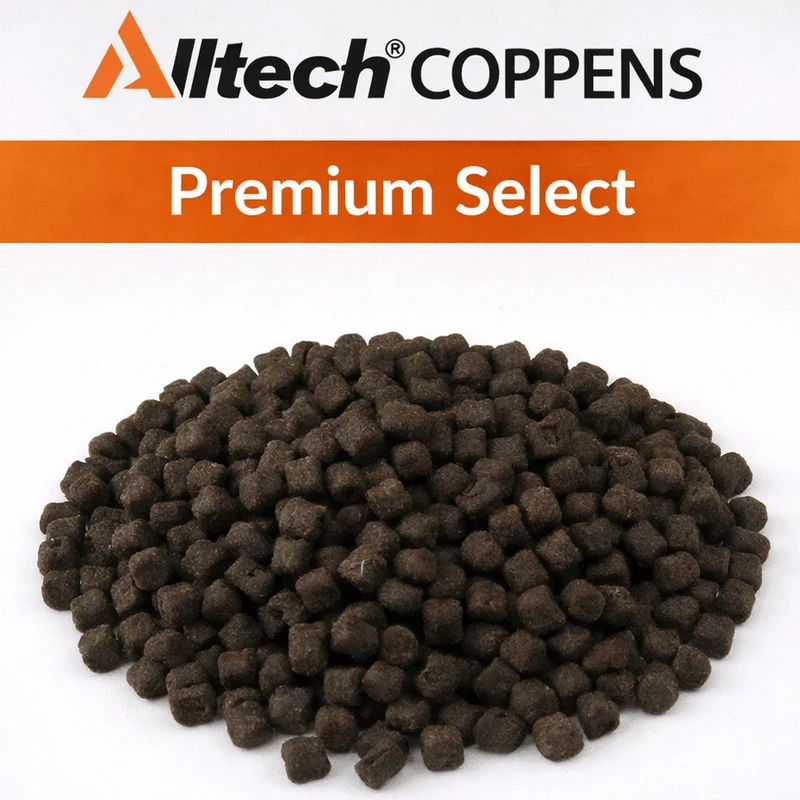Black Premium Select (Halibut) – Zwarte Zinkende Halibutpellets