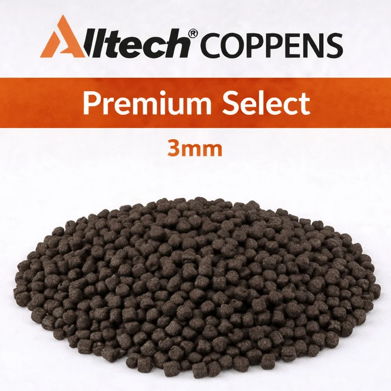 Black Premium Select (Halibut) – Zwarte Zinkende Halibutpellets
