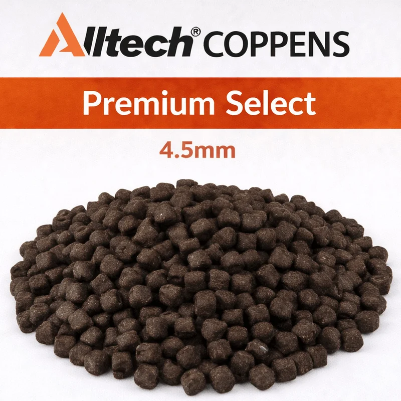 Black Premium Select (Halibut) – Zwarte Zinkende Halibutpellets
