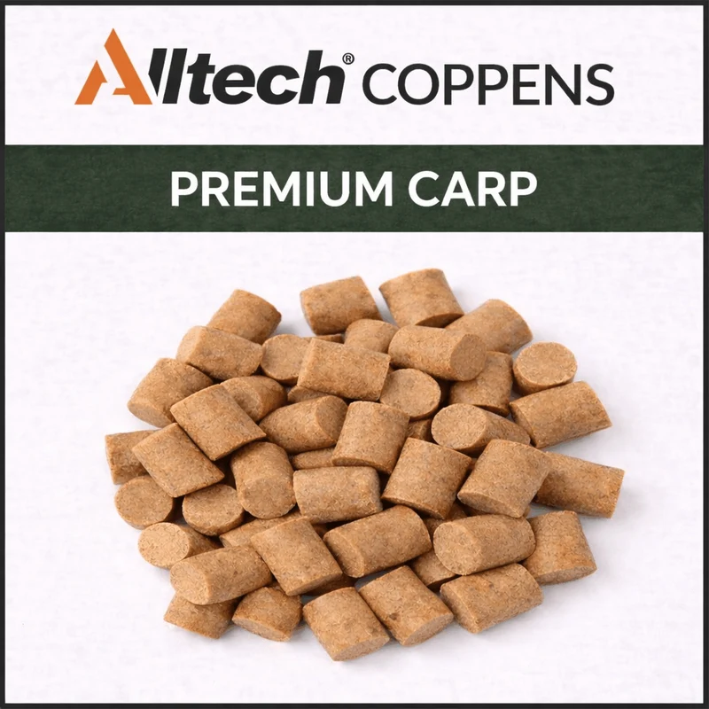 Premium Carp – Zinkende Karperpellets