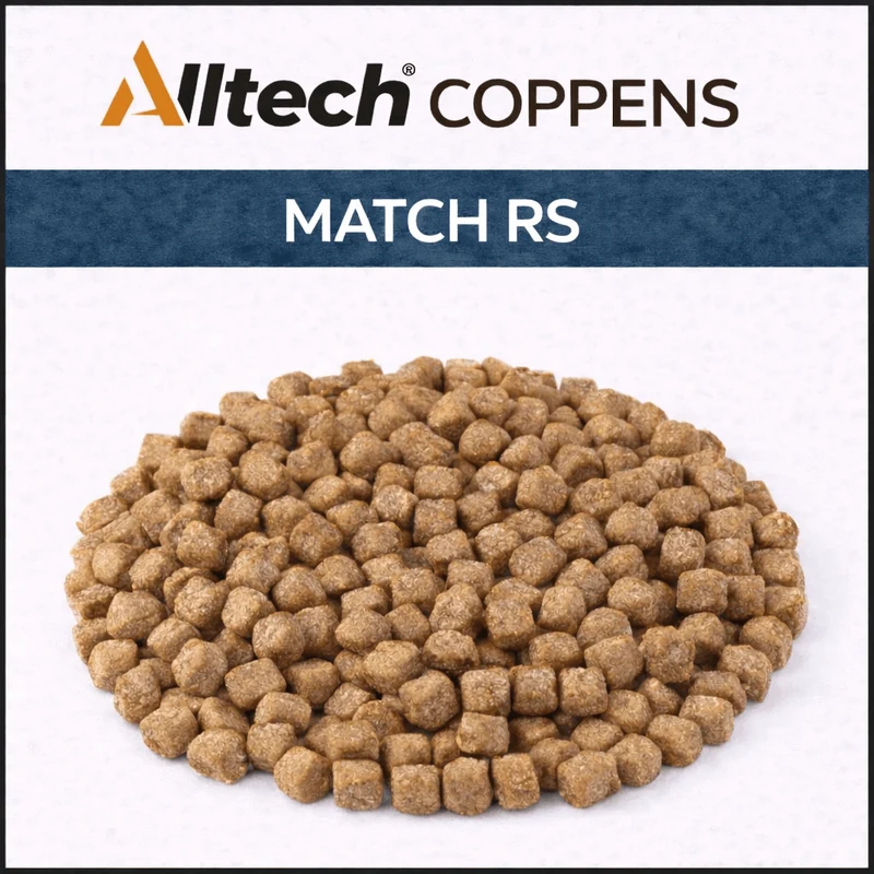 Match RS – Drijvende Expander Pellets om te Pompen