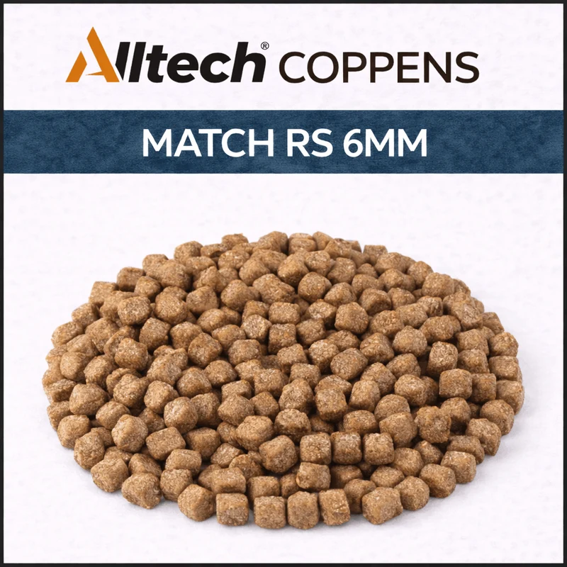 Match RS – Drijvende Expander Pellets om te Pompen