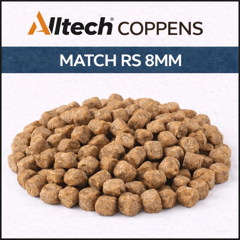 Match RS – Drijvende Expander Pellets om te Pompen