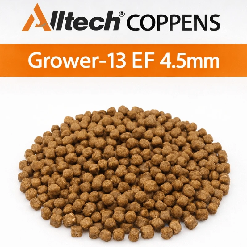 Grower-13 EF 4.5mm - 15kg – Drijvende Koivoerpellets