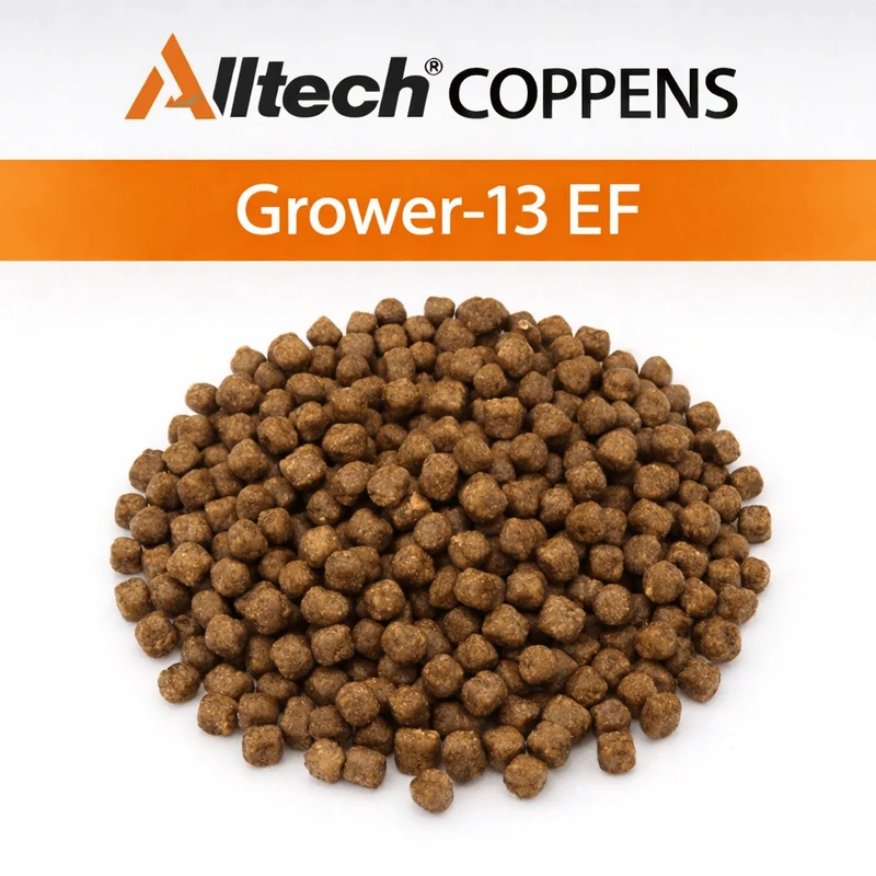 Grower-13 EF 4.5mm - 15kg – Drijvende Koivoerpellets
