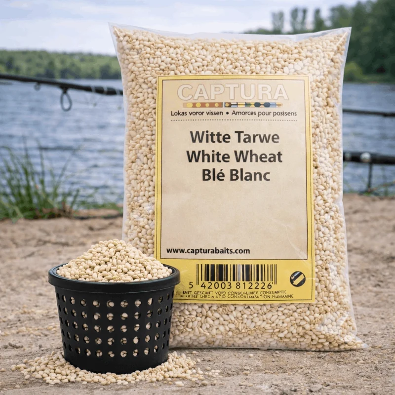 White Wheat – Witte Tarwe
