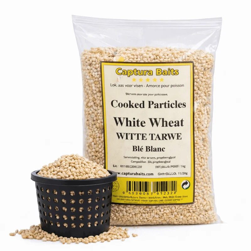 Cooked White Wheat – Gekookte Witte Tarwe
