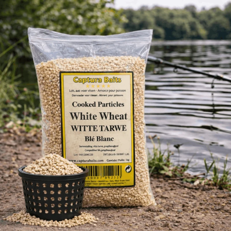 Cooked White Wheat – Gekookte Witte Tarwe