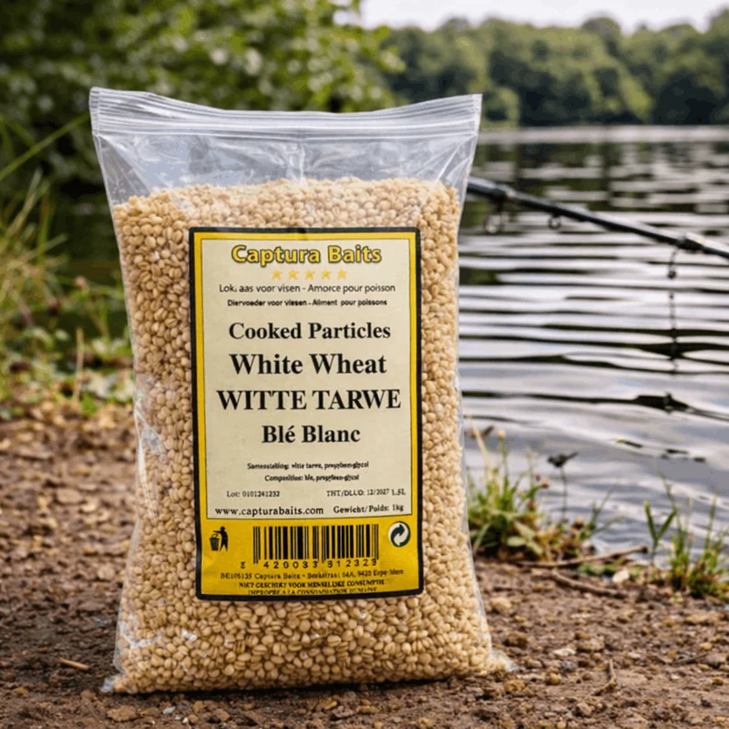 Cooked White Wheat – Gekookte Witte Tarwe