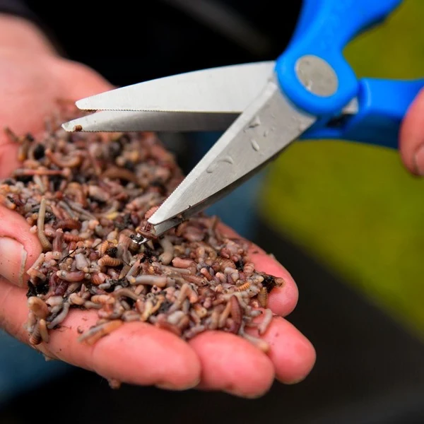 Double Blade Wormchopper – Wormenschaar