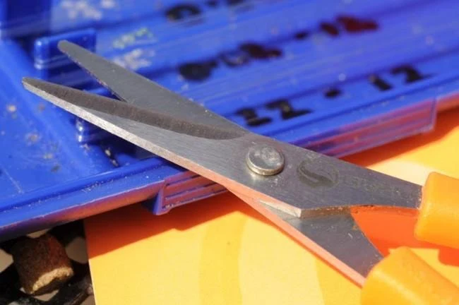 Serrated Scissors – Kartelschaar