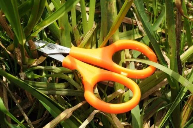 Serrated Scissors – Kartelschaar